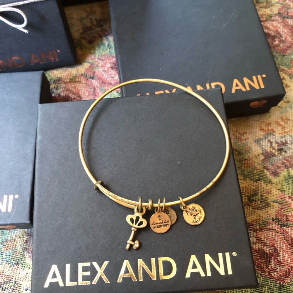 Alex and Ani Bracelet w/box